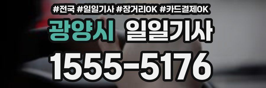 광양시 일일기사