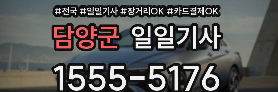 담양군 일일기사