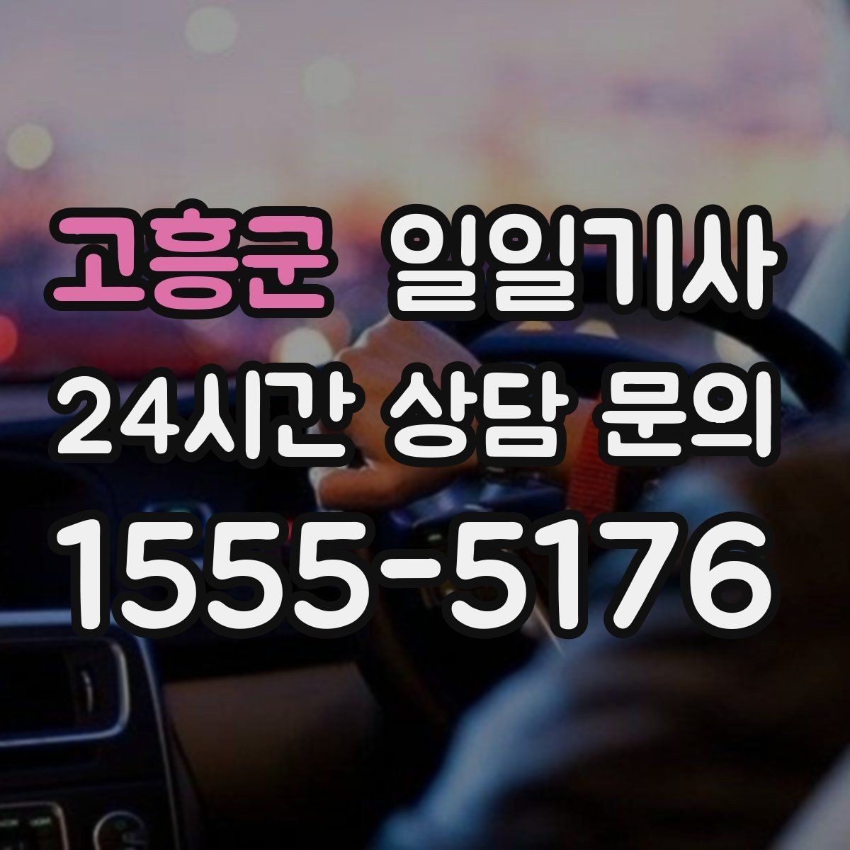 고흥군 일일기사 지역 지리를 잘 알아서 안심