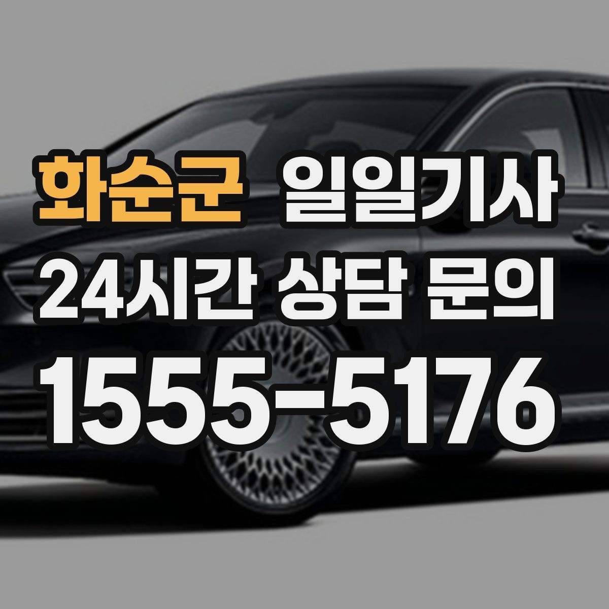 화순군 일일기사 종일 일정 전담 동행