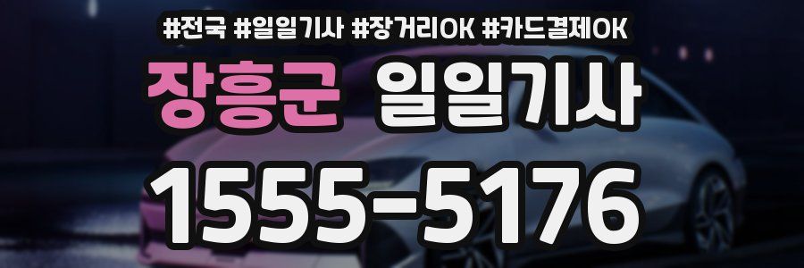 장흥군 일일기사