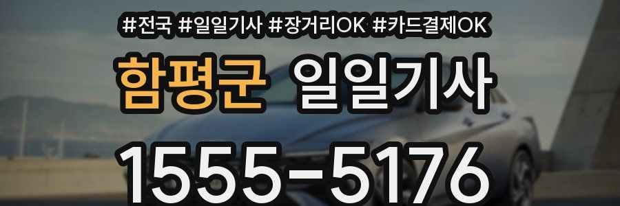 함평군 일일기사