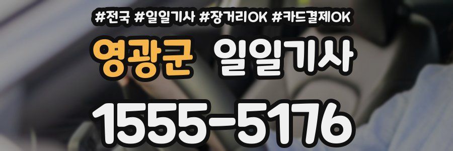 영광군 일일기사