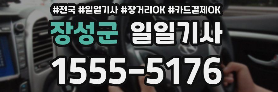 장성군 일일기사