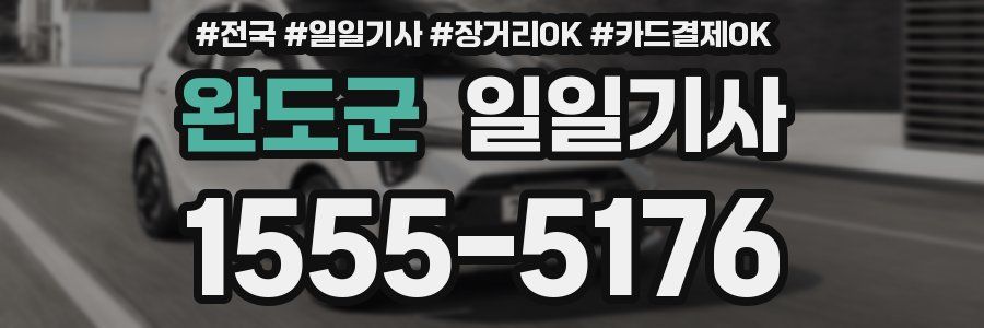 완도군 일일기사