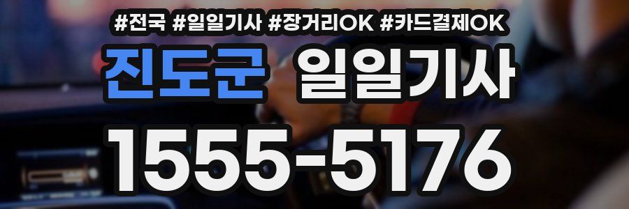 진도군 일일기사