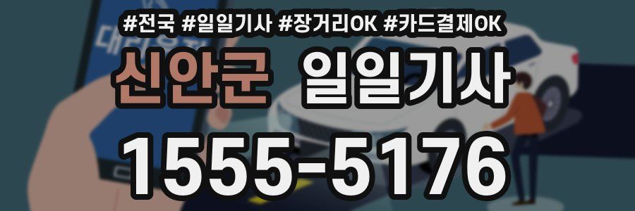 신안군 일일기사