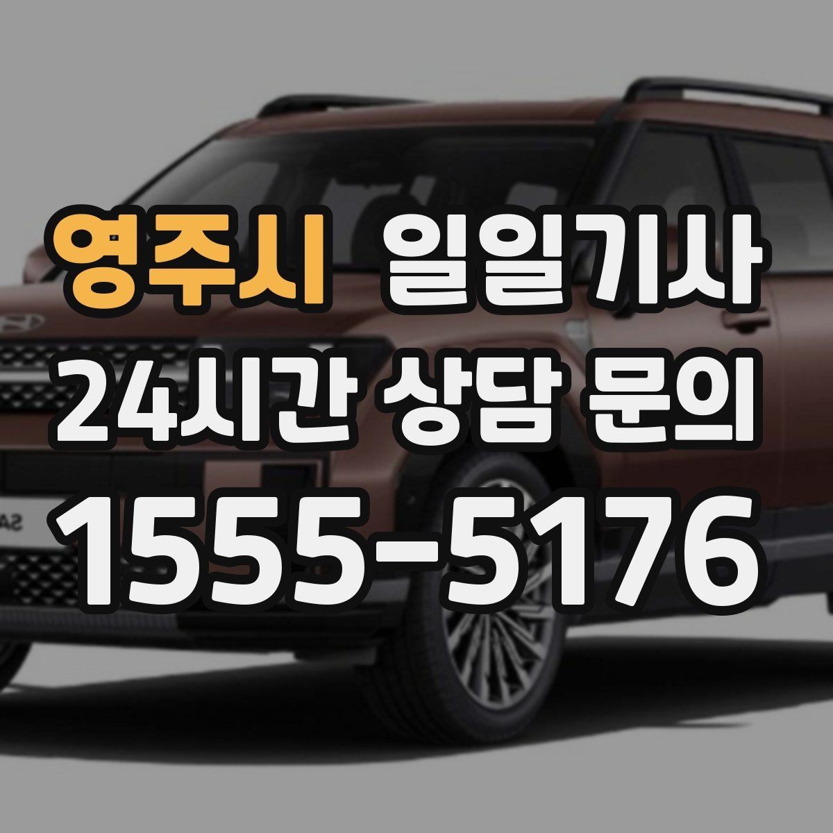 영주시 일일기사 목적지 변경에도 흐트러짐 없는 이동