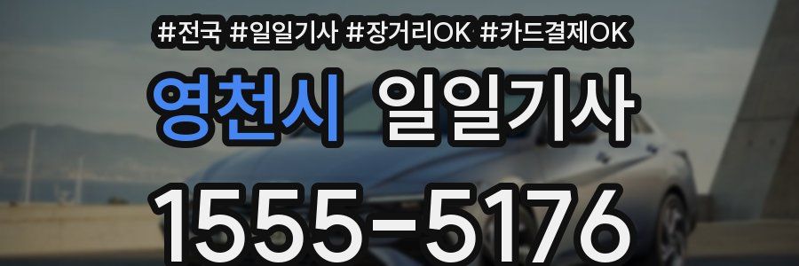 영천시 일일기사