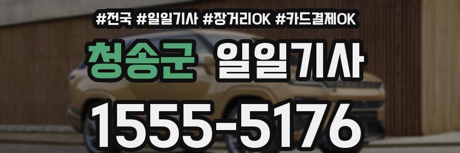 청송군 일일기사