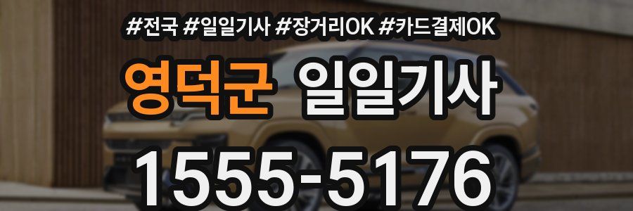 영덕군 일일기사
