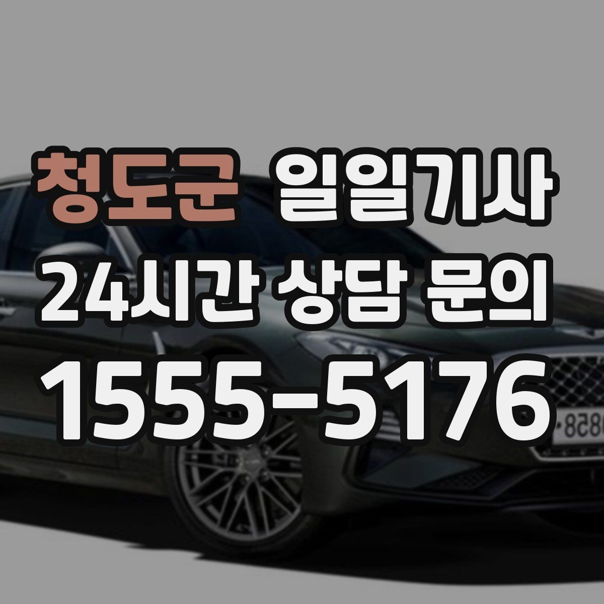 청도군 일일기사 공항과 미팅을 한 노선에 담는 하루