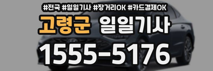 고령군 일일기사