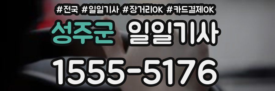 성주군 일일기사