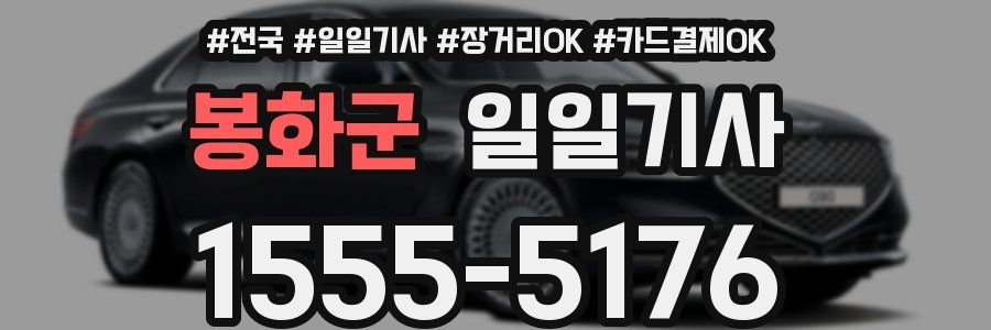 봉화군 일일기사