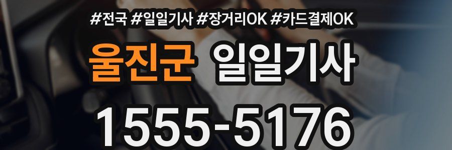 울진군 일일기사