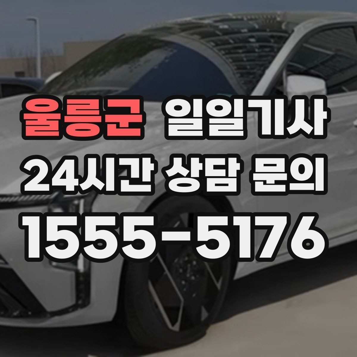 울릉군 일일기사 공항과 미팅을 한 노선에 담는 하루