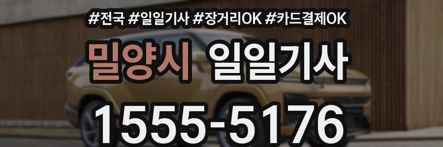 밀양시 일일기사