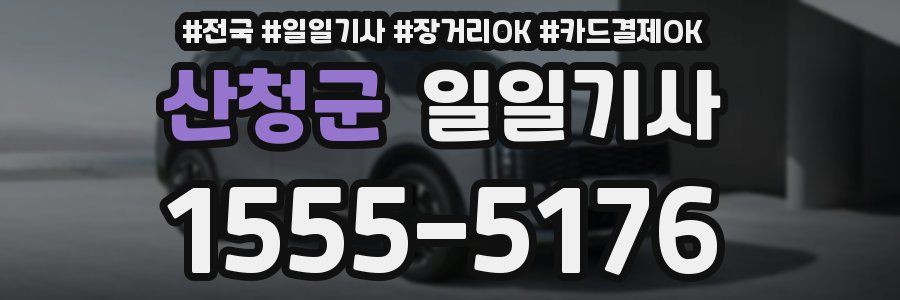 산청군 일일기사
