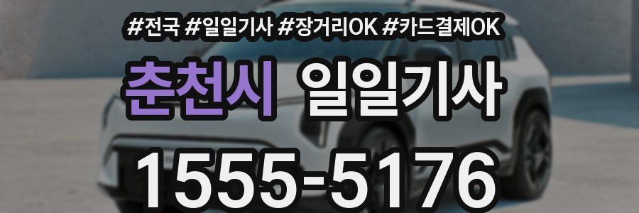 춘천시 일일기사