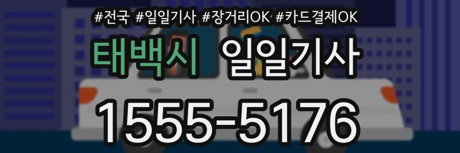 태백시 일일기사