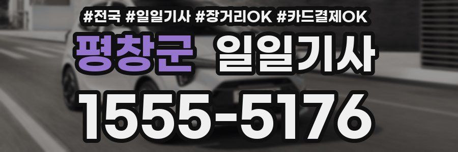 평창군 일일기사