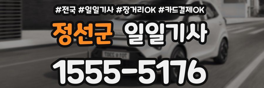 정선군 일일기사