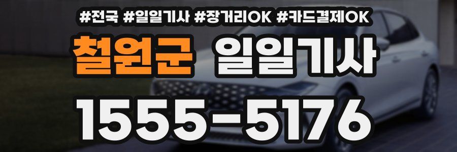 철원군 일일기사