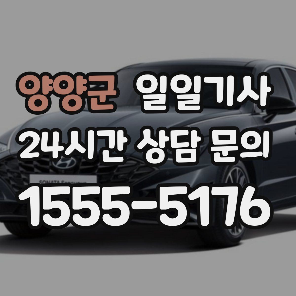 양양군 일일기사 픽업과 하차가 정확해지는 하루