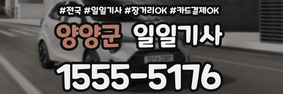 양양군 일일기사