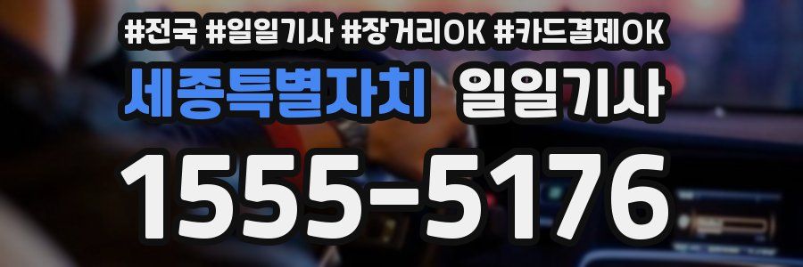 세종특별자치 일일기사