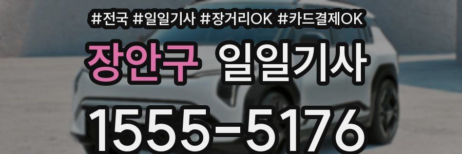 장안구 일일기사