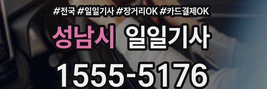 성남시 일일기사