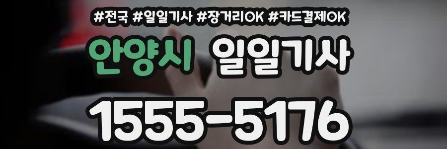 안양시 일일기사