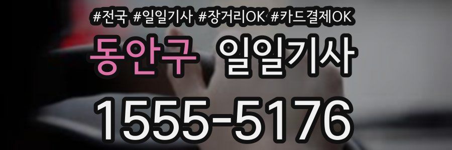 동안구 일일기사