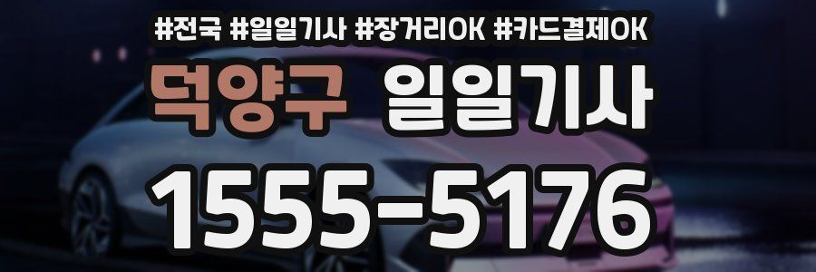 덕양구 일일기사