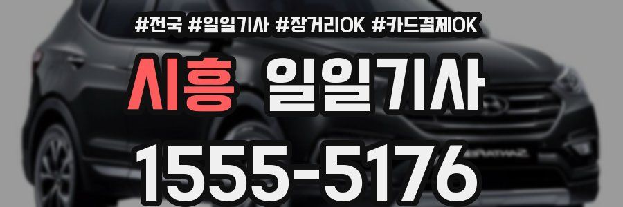 시흥 일일기사