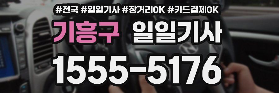 기흥구 일일기사