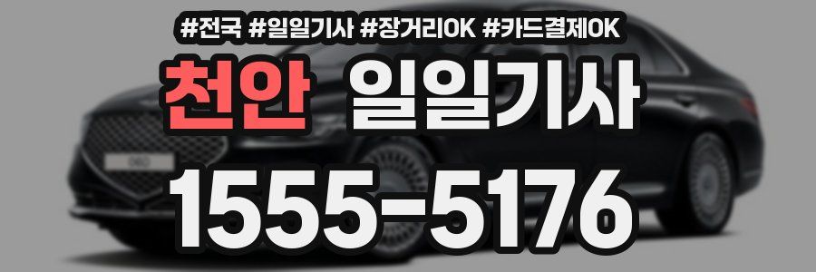 천안 일일기사
