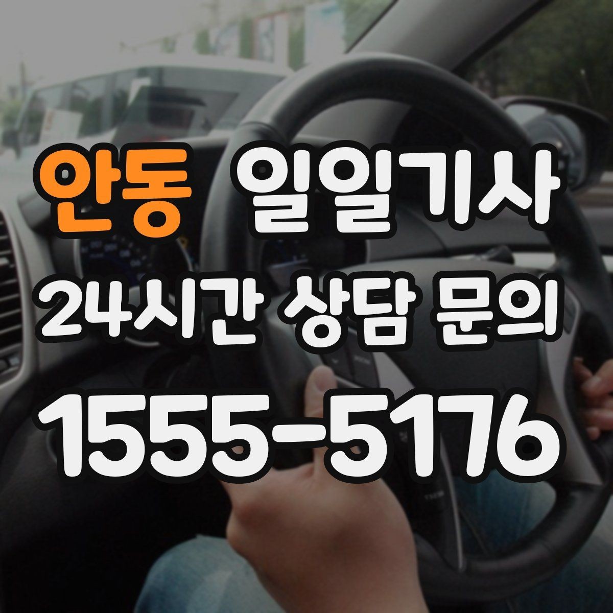 안동 일일기사 예약 시간 정시 도착