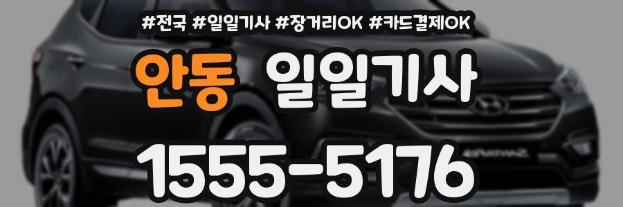 안동 일일기사