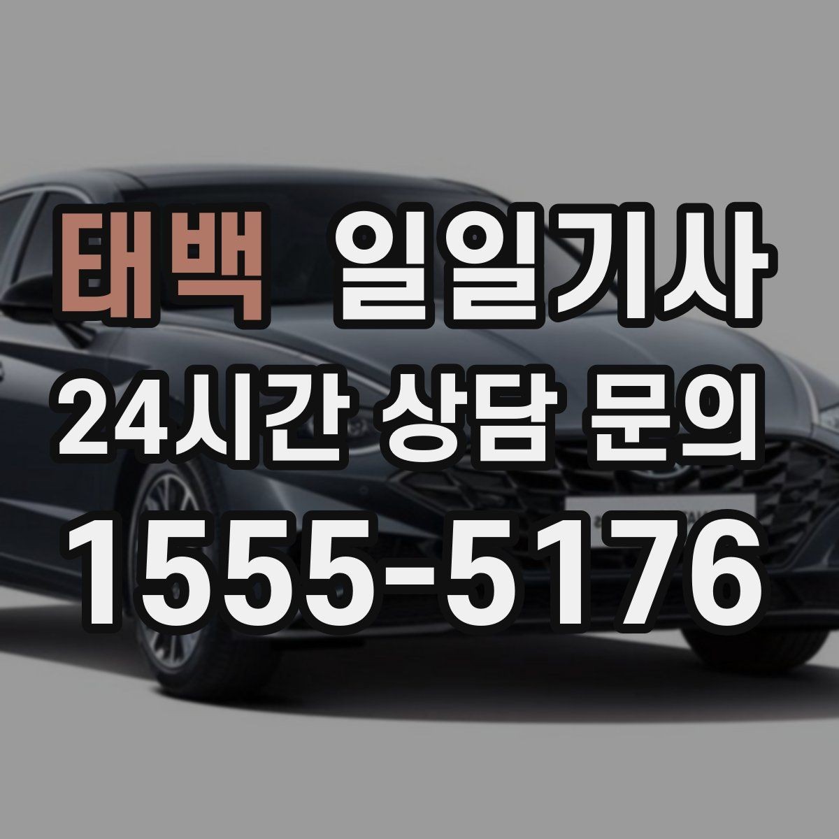 태백 일일기사 공항 왕복 전담 배치