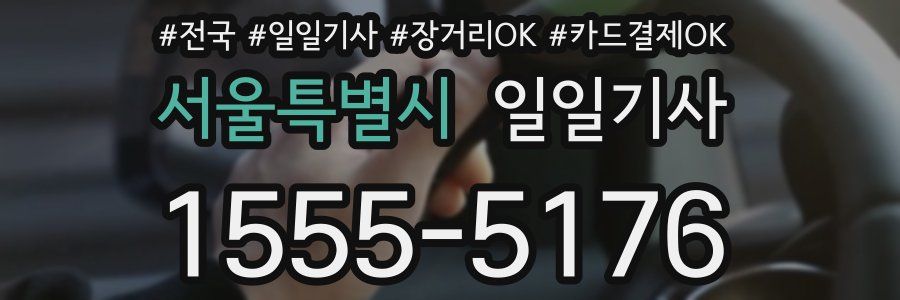 서울특별시 일일기사