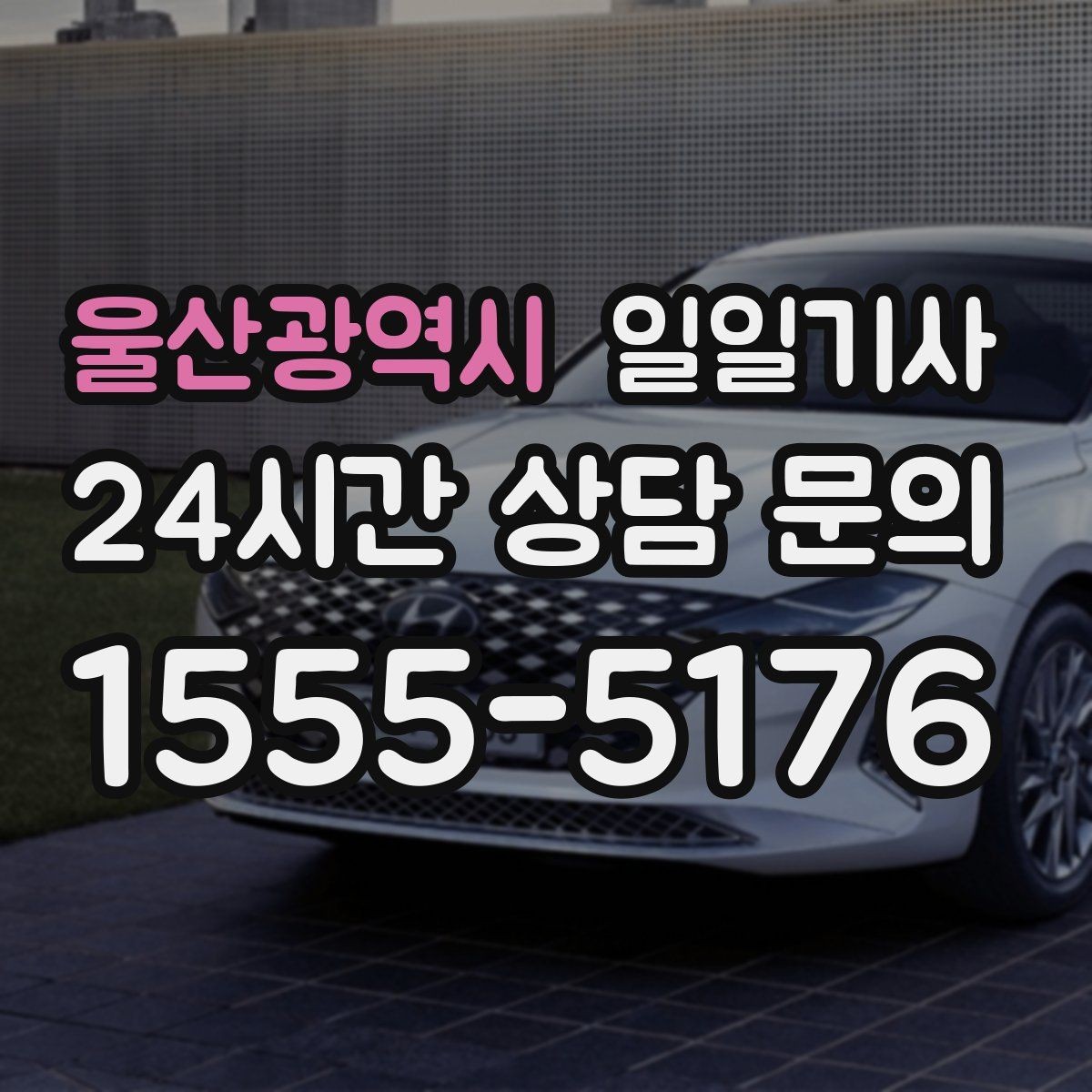 울산광역시 일일기사 예약 시간 정시에 도착해요