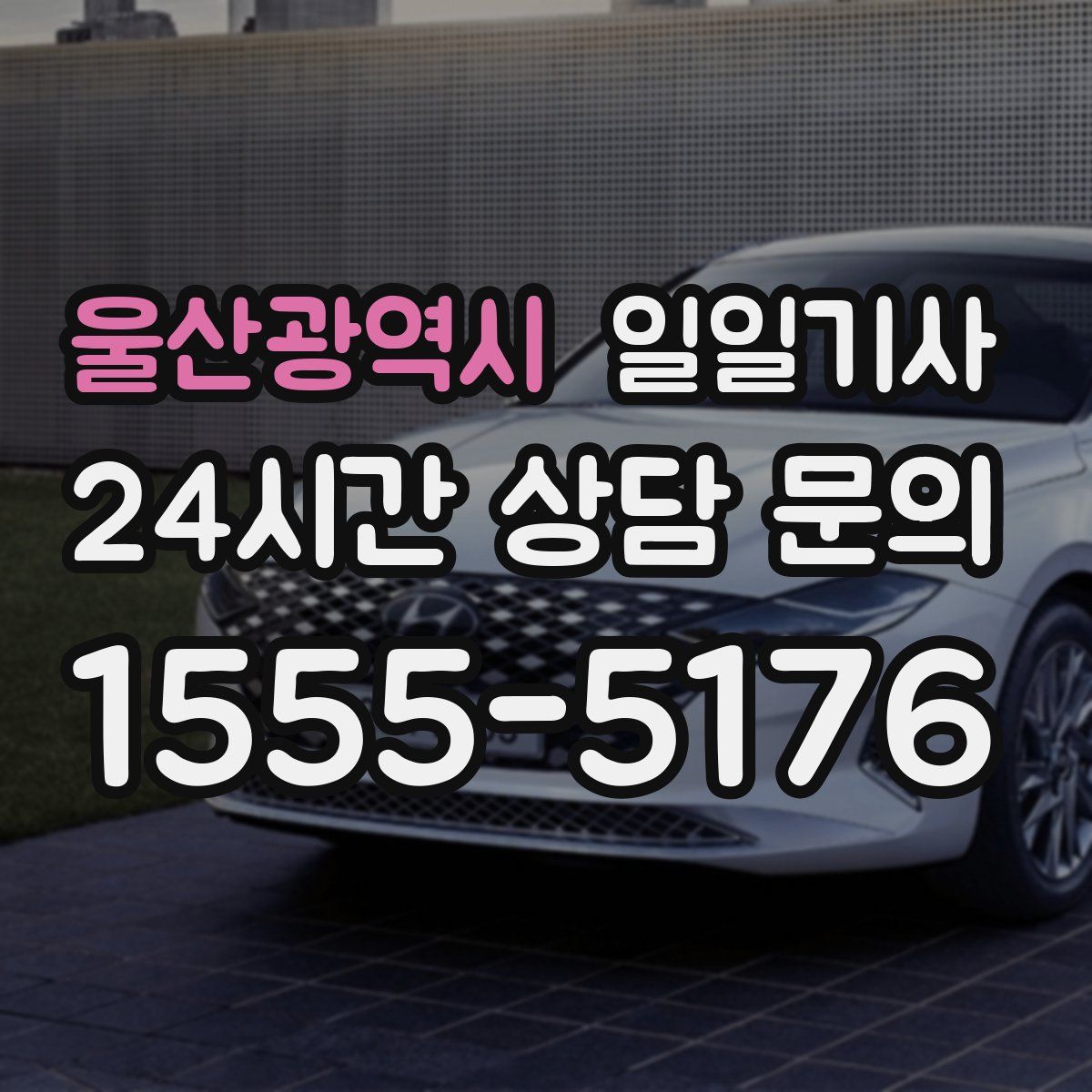 일일기사
