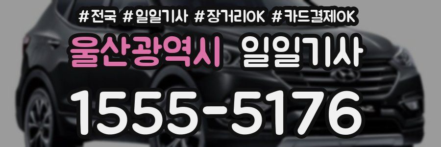 울산광역시 일일기사