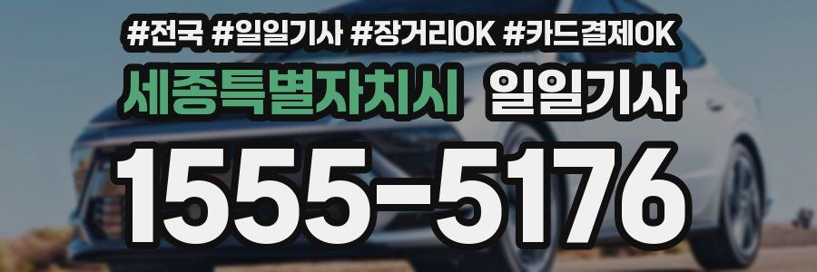 세종특별자치시 일일기사