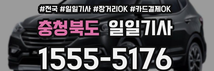 충청북도 일일기사
