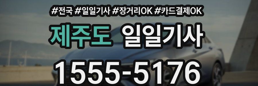 제주도 일일기사