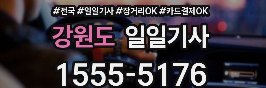 강원도 일일기사